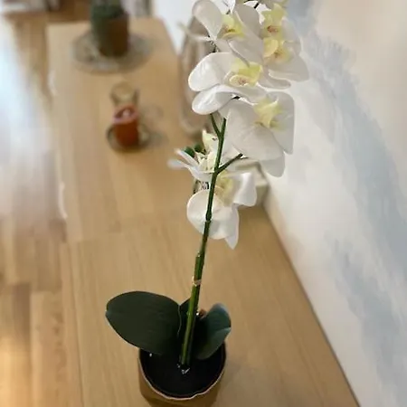 Appartement Vila Luxury And Spa Златибор Екстериор снимка